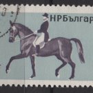 Bulgaria 1965 - Scott 1444  used - 1s, Horsemanship   (7-470)