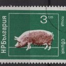 Bulgaria 1974  - Scott 2160  CTO -  3s, Domestic animals (7-628)