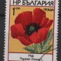 Bulgaria 1973  - Scott 2088 used -1s, flower, Poppy (7-623)