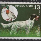 Bulgaria 1985 - Scott  3130  used -  13s, Hunting dog (8-56)