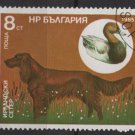 Bulgaria 1985 - Scott  3129  used -  8s, Hunting dog (8-53)