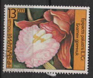 Bulgaria 1986 - Scott  3141  used - 13s, Orchids (8-49)