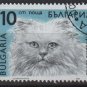 Bulgaria 1989 - Scott 3513 used - 10s,  Cats (8-184)