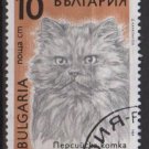 Bulgaria 1989 - Scott 3514 used - 10s,  Cats   (8-182)