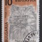 Bulgaria 1989 - Scott 3514 used - 10s,  Cats   (8-182)