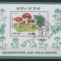 Korea  DPRK 1989 - Scott 2821 souvenir sheet of 1 CTO - 1w, Mushrooms (ss3-75)