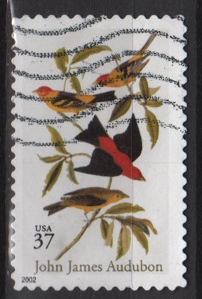 USA 2002 - Scott 3650 used - 37c, John J Audubon Birds (10-33)