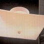 Hampton Bay Ceiling Light  585 920 White