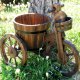 Home and Garden