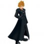 Kingdom Hearts Thirteen Organs Roxas Cloak Cosplay Costume