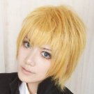 30cm Perk Hair FateZero Archer Auratus Cosplay Wig