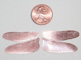 TWO SETS Etched COPPER Filigree Dragonfly or Fairy Wings 1/2 Life size 1-1/4"