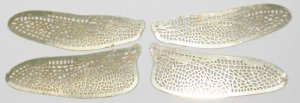 TWO SETS Etched BRASS Filigree Dragonfly or Fairy Wings 1/2 Life size 1-1/4"