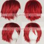 Akaito Wig (2nd) from Vocaloid
