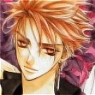 Akatsuki Kain Wig from Vampire Knight