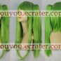 CC Wig (Clips) from Code Geass