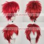 Daisuke Wig from D N Angel