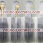 Gilbert Wig (Prussia,Girl) from Axis Powers Hetalia