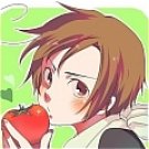 Lovino Wig (South Italy) from Axis Powers Hetalia