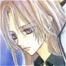 Ruka Wig from Vampire Knight