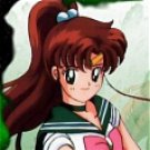 Sailor Jupiter Wig from Sailor Moon