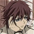 Shiki Wig from Vampire Knight