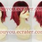Shiki Wig from Vampire Knight