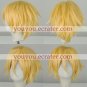 Usui Wig from Maid Sama
