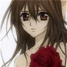 Yuki Wig (Long) from Vampire Knight
