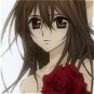 Yuki Wig (Long) from Vampire Knight