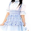 New product  Attractive Unique blue Maid Costume (112)