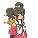 New product   Anise Cosplay from Tales of the Abyss