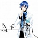 New product  Kaito Cosplay (Camellia) from Vocaloid