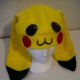 Pokemon Hats