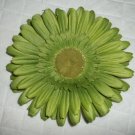 Gerber Daisy Green Hair Clip