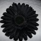 Gerber Daisy Black Hair Clip