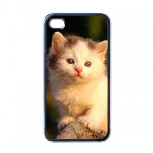 Cute Cat iPhone 4 hard case (Black) - cat3