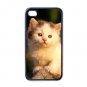 Cute Cat iPhone 4 hard case (Black) - cat3