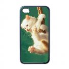 Cute Cat iPhone 4 hard case (Black) - cat4