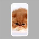 Cute Cat iPhone 4 hard case (White) - cat2