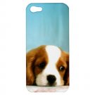 Cute Puppies iPhone 5 Hardshell Case - i5ppy5