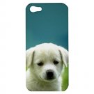 Cute Puppies iPhone 5 Hardshell Case - i5ppy6