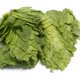 Leaf Hops