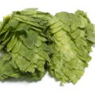 Saaz Leaf Hops