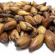 Specialty Malts