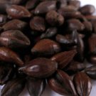 Black (Patent) Malt