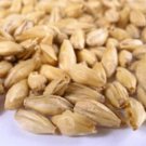 Two-Row Barleymalt