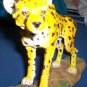 King cheetah