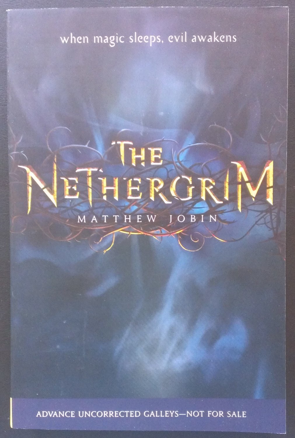 the nethergrim book 3
