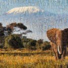 Freedom Climb - Elephant Mosaic 8x11